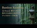 Bamboo Raindrop
