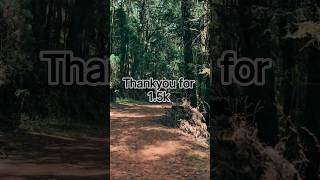 viral shorts #trending #viral #horror #forest #travel #shorts