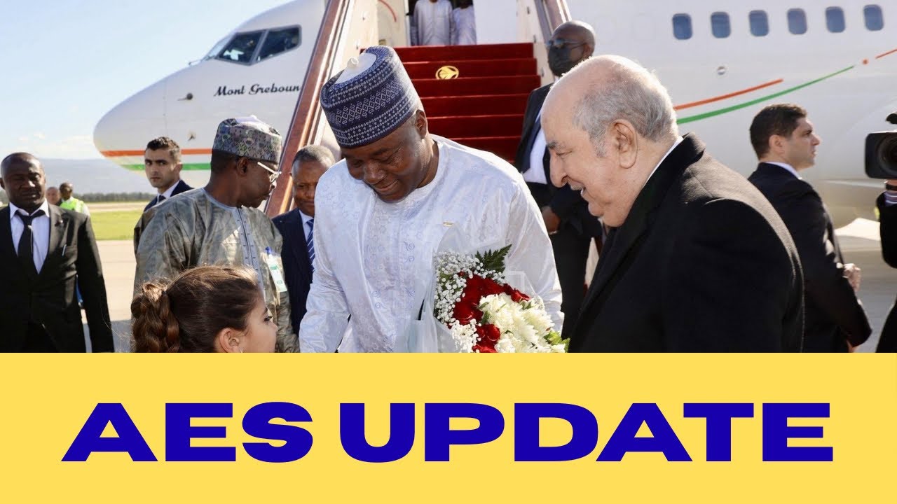 Algeria & Niger BURY the Hatchet? Diplomatic Ties Restored + African News 