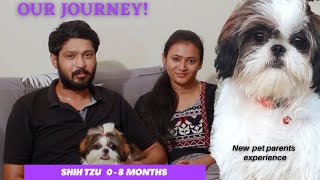 Shihtzu puppy வாங்கலாமா? our 8 month journey experience