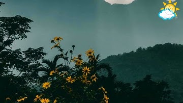سورة الإخلاص مكرره عشر مرات للشيخ ماهر المعيقلي