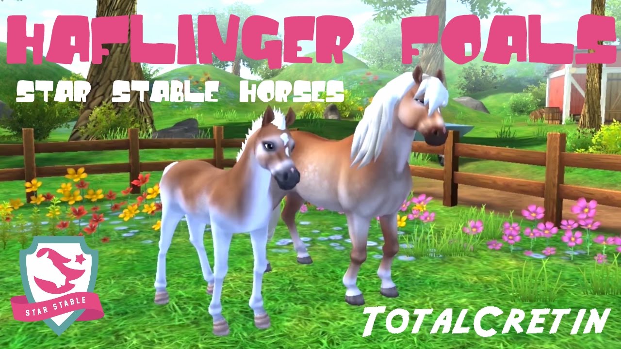 HAFLINGER FOALS IN STAR STABLE HORSES! (Star Stable)