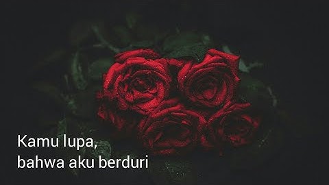 Download Video Bunga Mawar Putih Kata Kata Sedih Mp3 Free And Mp4