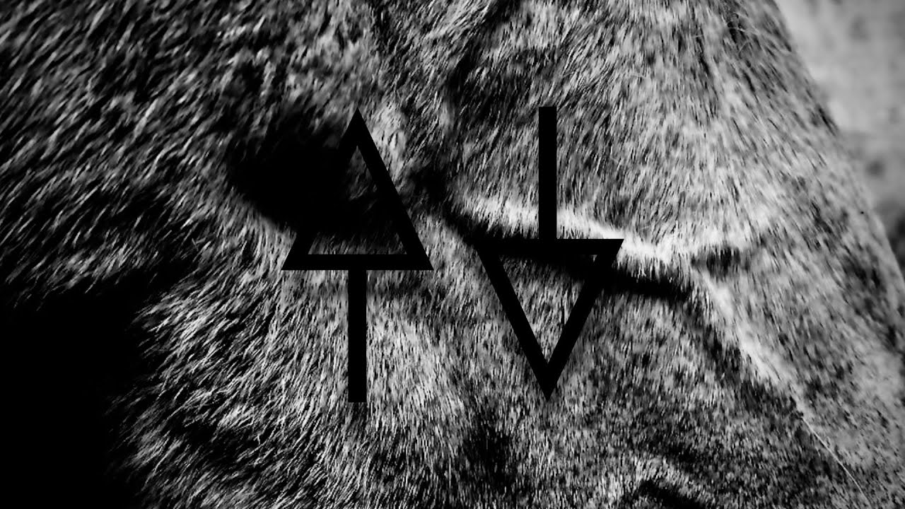 Animal Triste - Afterlife (Official Clip)