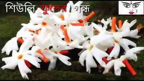 Subho Mahalaya WhatsApp Status| Mahalaya status Video | শুভ মহালয়া