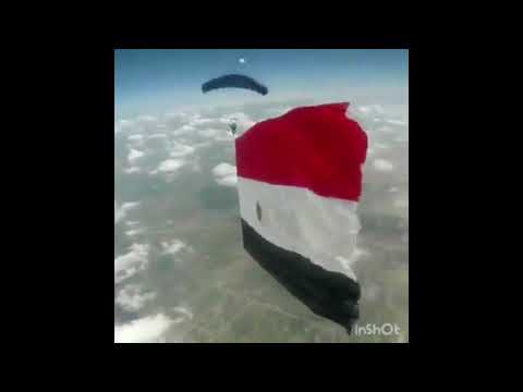 طول ما املي معايا