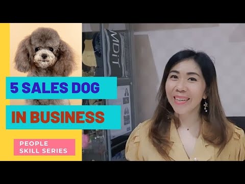 Video: Hidup dengan Anjing yang Memiliki Kepribadian yang Dominan