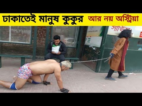 ভিডিও: কীভাবে আপনার রটওয়েলার কুকুরছানা খাওয়াবেন