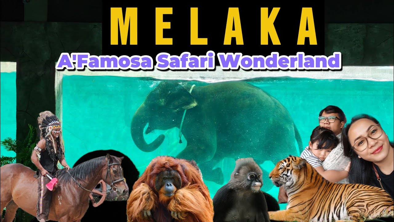 Wiban Melaka Safari Part 2 | Truck rides, animal shows and close-up animal interactions.