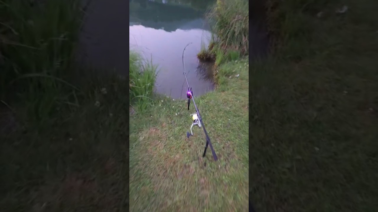 CRAZY CARPRUN😱🔥 