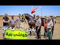 بـاردي مسـكين مـا ت ليه عـود قرب الموسم مع نـية و ناس الملاح خدا الهمزة عـود حلو بشروط عالـية