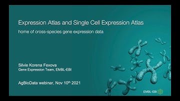 Expression Atlas and Single Cell Expression Atlas