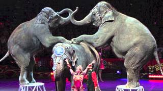 Video voorbeeld van "See The Elephant - James McMurtry"