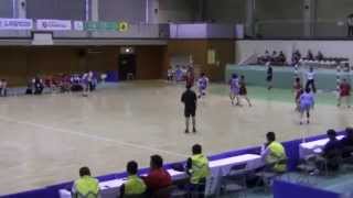 成年女子ハンドボール３位決定戦（広島県ＶＳ熊本県）