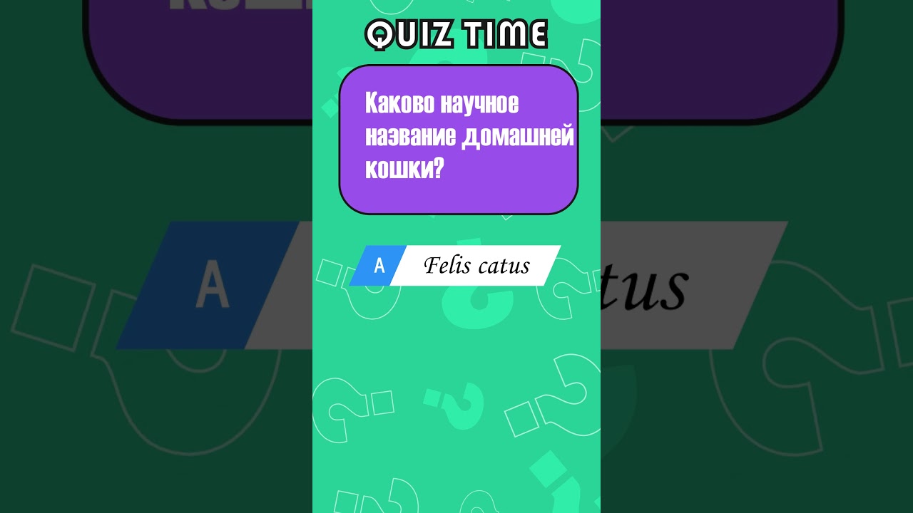 а ВЫ знали ЭТО про кошек??? | QUIZ TIME HERO На Русском 