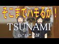 【 もはや 涙が出そうなハーモニー 】TSUNAMI_ねこねこ兄妹 001/100 [毎週水曜日にアップ]
