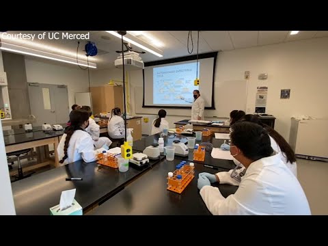 UC Merced launches new STEM scholars program