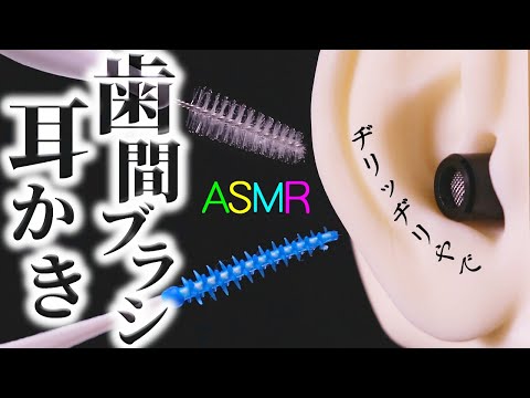 【ASMR】鼓膜が唐揚げになるｗ歯間ブラシで至極のヂリヂリ耳かき♡精密なミニブラシとゴムのイボイボ歯間器具で耳の中でピチパチと揚げ物が始まってしまう痛そうだけれどゾクゾクしちゃう耳掃除の音♪【音好き】