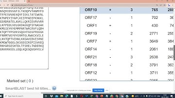 Practical on ORF Prediction