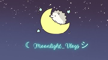 ☾ Moonlight Vlogs シ︎ Presents: A Tutorial On How to Change your Name in Meow Playground