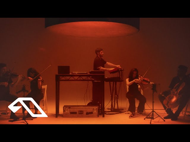 Catching Flies - Falling Apart