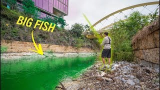 Hidden Fishing In Downtown Austin Texas -- MUTANT BASS?? (Pt. 1)