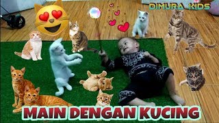 Main Dengan Kucing