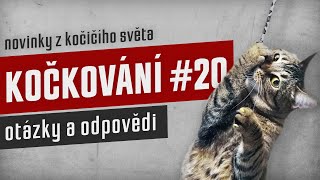 KOČKOVÁNÍ #20 - Stream: otázky a odpovědi by Kočkování 51 views 4 months ago 1 hour, 26 minutes