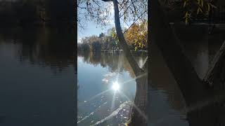 Золота осінь 🍁🍀🥀🍂👍