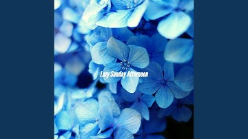 Sumptuous Moods for Momentum Reflection