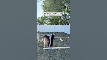 BUILDING A TEMORARY COOP FOR OUR DUCK BABIES #diy #chickencoop #ducks #homsteading #building#twinmom