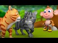 குரங்கு மற்றும் இரண்டு பூனைகள் - The Monkey and Two Cats | 3D Tamil Mora...