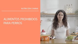 Alimentos prohibidos para perros ❌🐶 by Dogfy Diet 3,609 views 1 year ago 2 minutes, 48 seconds