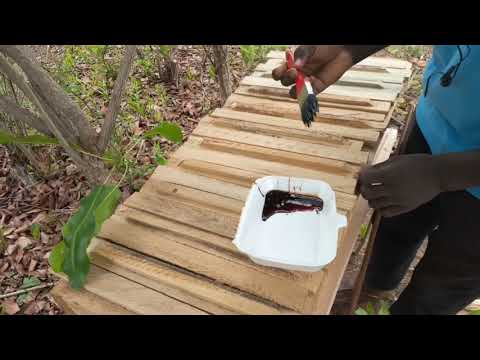 Video: Kā piesaistīt bites: audzējiet medus bišu dārzu