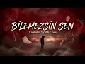Bilemezsin Sen Arabesk Cover Anatolia Synth Core 