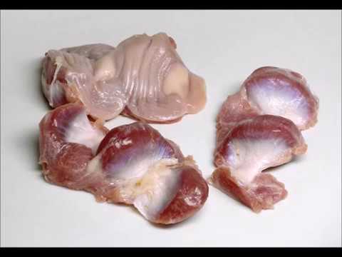 Video: Come Friggere Gli Stomaci Di Pollo?