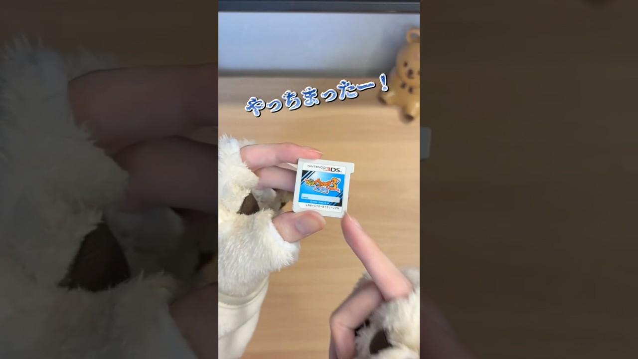 壊したかも！？【3DS】