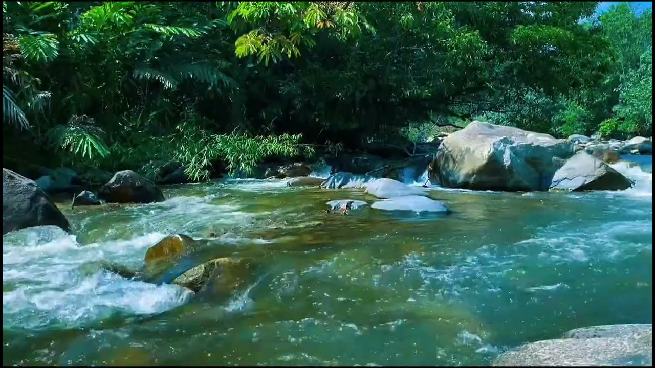 River sounds for deep sleep | Relaxing water and nature sounds