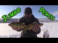 Ice fishing for JUMBO Perch!!