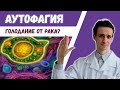 АУТОФАГИЯ: почему нельзя лечить РАК голоданием