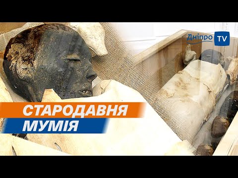 🏛 Понад 5 тисяч років. У музей Дніпра повернулася мумія
