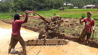 Joki Traktor Sawah Ikut Panen Belut