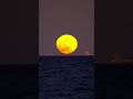 Moonrise or Sunrise?Which clip do you prefer?
