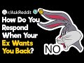 How Do You Respond When Your Ex Wants You Back?
