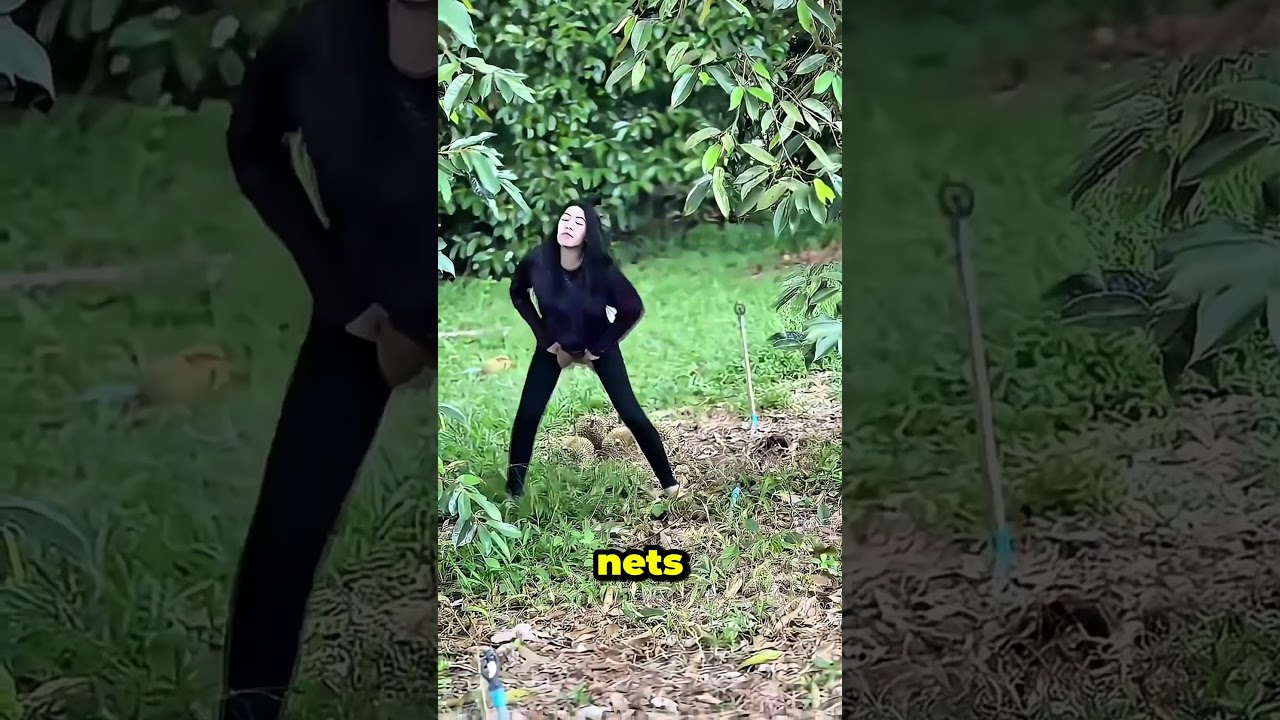 Она ловит падающие дурианы… голыми руками! 😳🍈