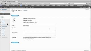 Embedding audio on WordPress using Haiku plugin