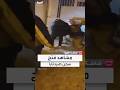 لحظة فتح أبواب العنبر الأحمر في سجن صيدنايا لحظة فتح أبواب العنبر الأحمر في سجن صيدنايا