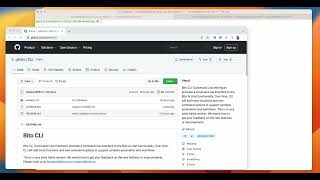 Access Bito's AI Assistant from the CLI