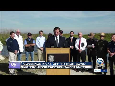 2020 Python Challenge Python Bowl aims to tackle invasive species