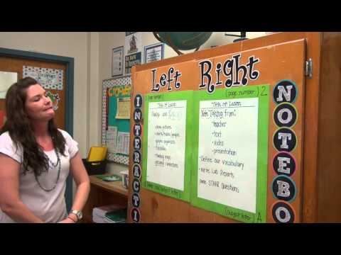 Interactive Notebooks